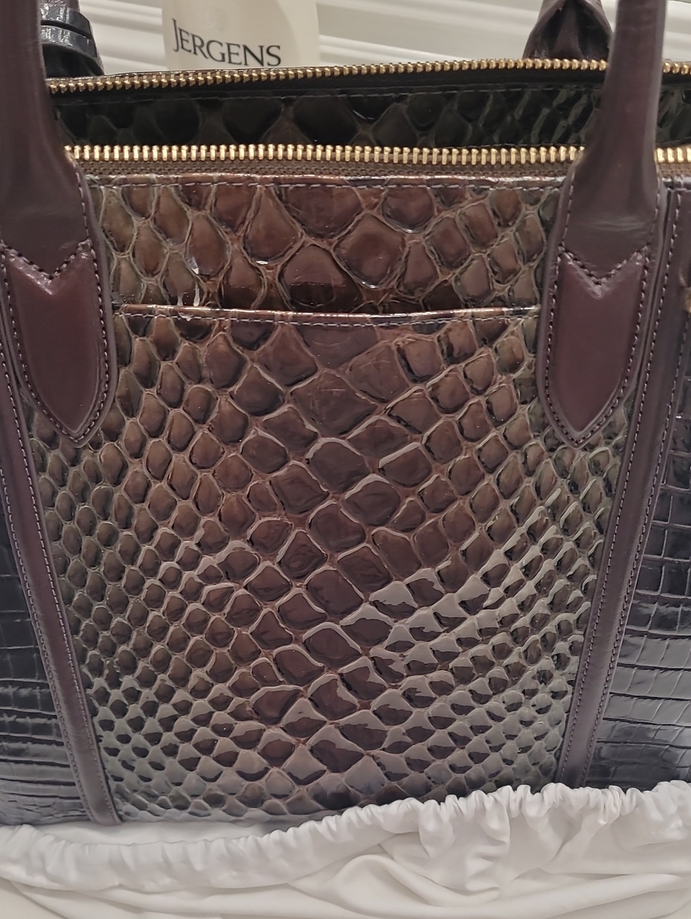 Brahmin Caroline  (Hunter Amaya) - Picture 4 of 5